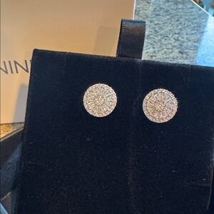 Elegant Silver Stud Earrings